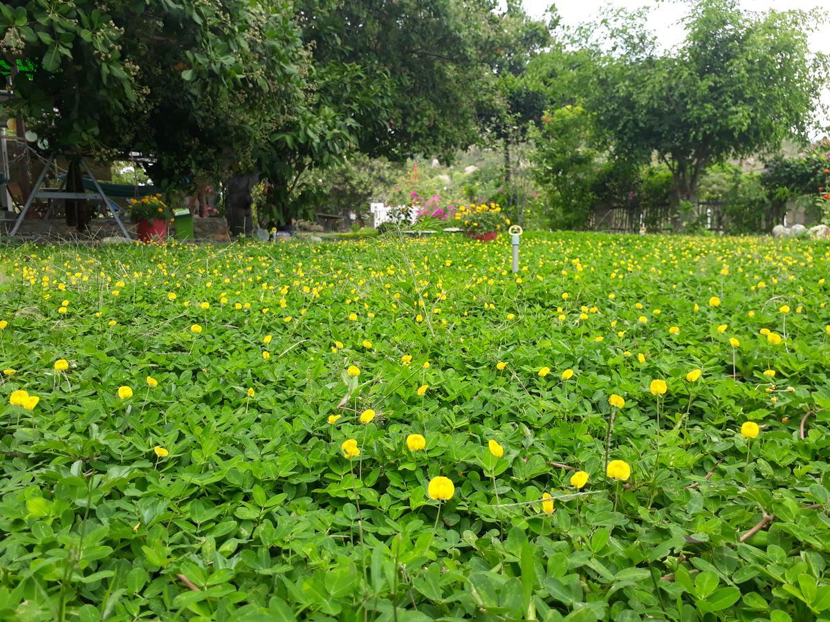 Dao Hoa Vang Villa Cam Ranh Luaran gambar