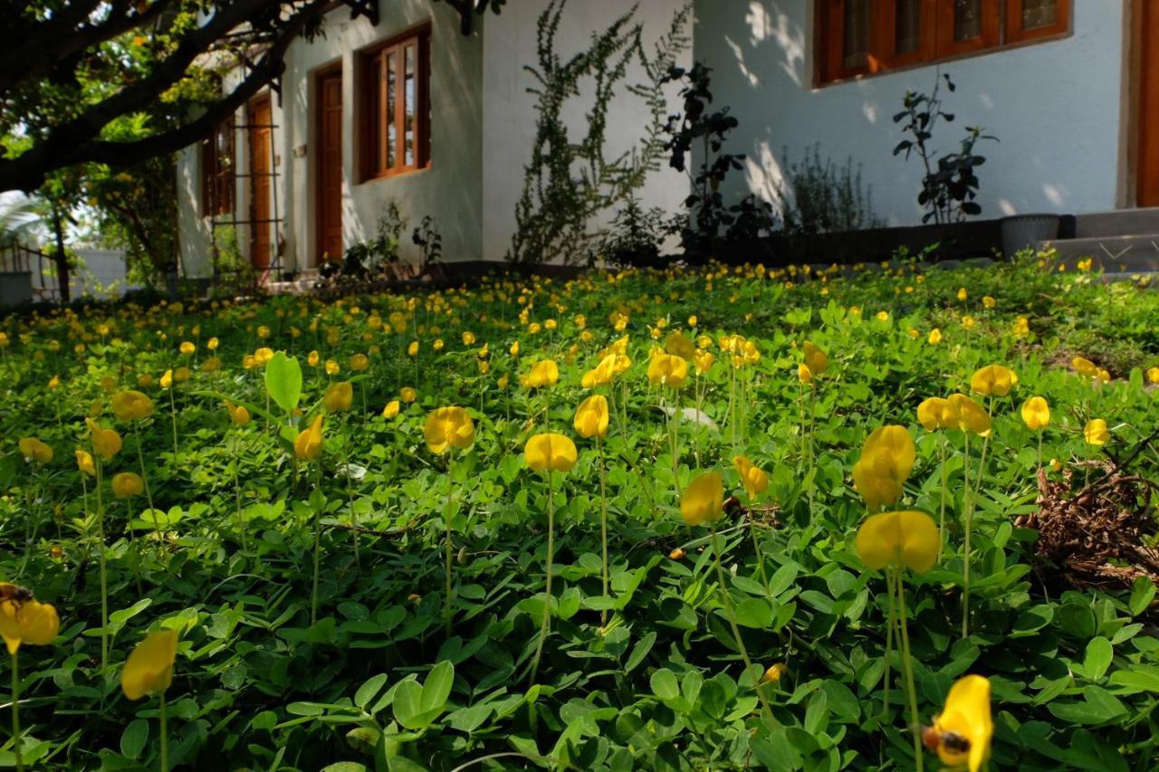Dao Hoa Vang Villa Cam Ranh Luaran gambar