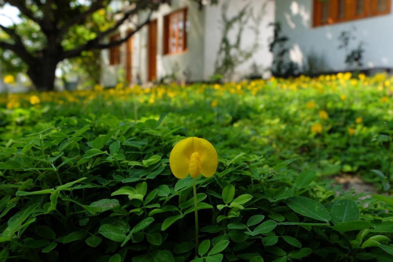 Dao Hoa Vang Villa Cam Ranh Luaran gambar